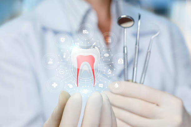 Professional  Holistic Dental Services in Leesburg, OH